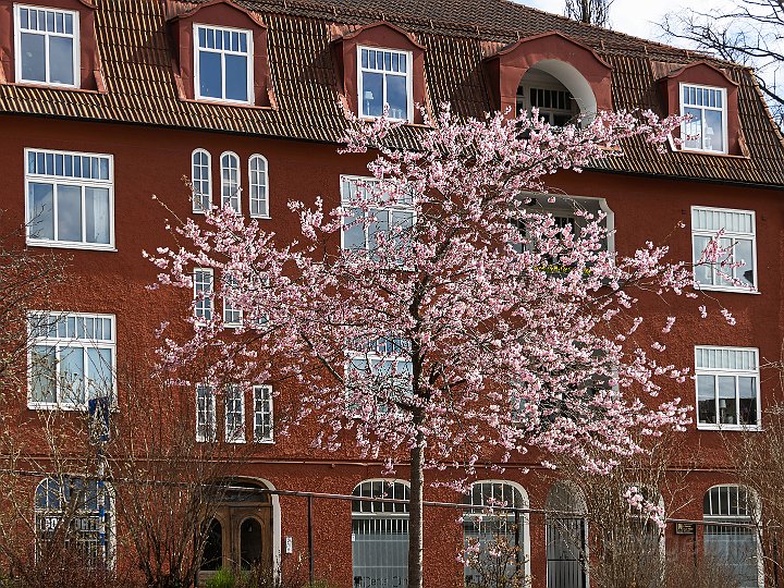 Stad vår1.jpg